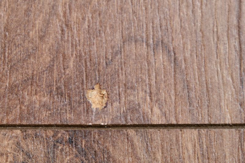 Commercial Wood Floor Repair detail