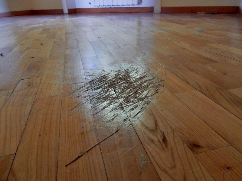 Maple Floor Staining in Alpharetta, GA
